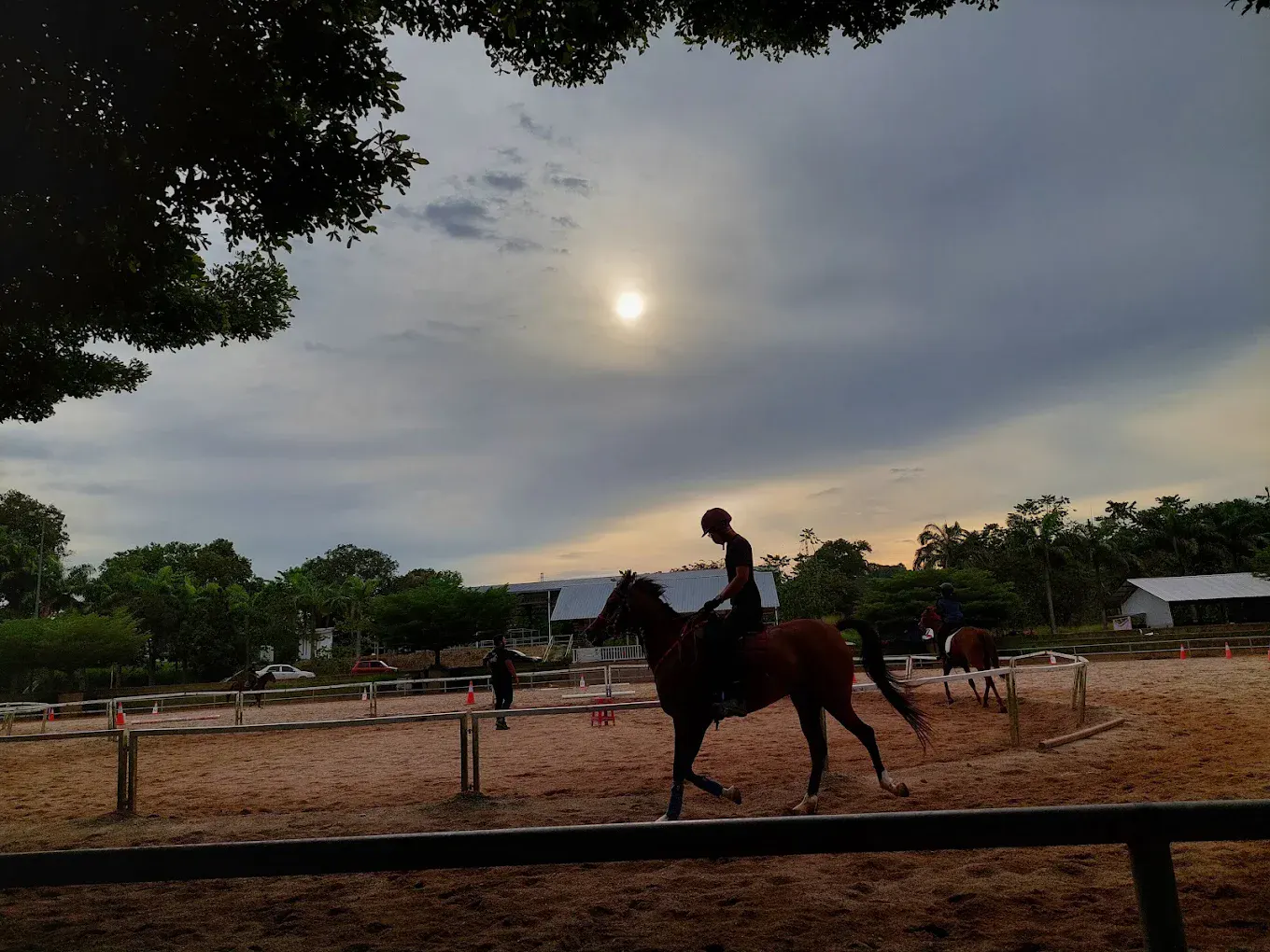 Rider schooling a horse in the arena at sunset