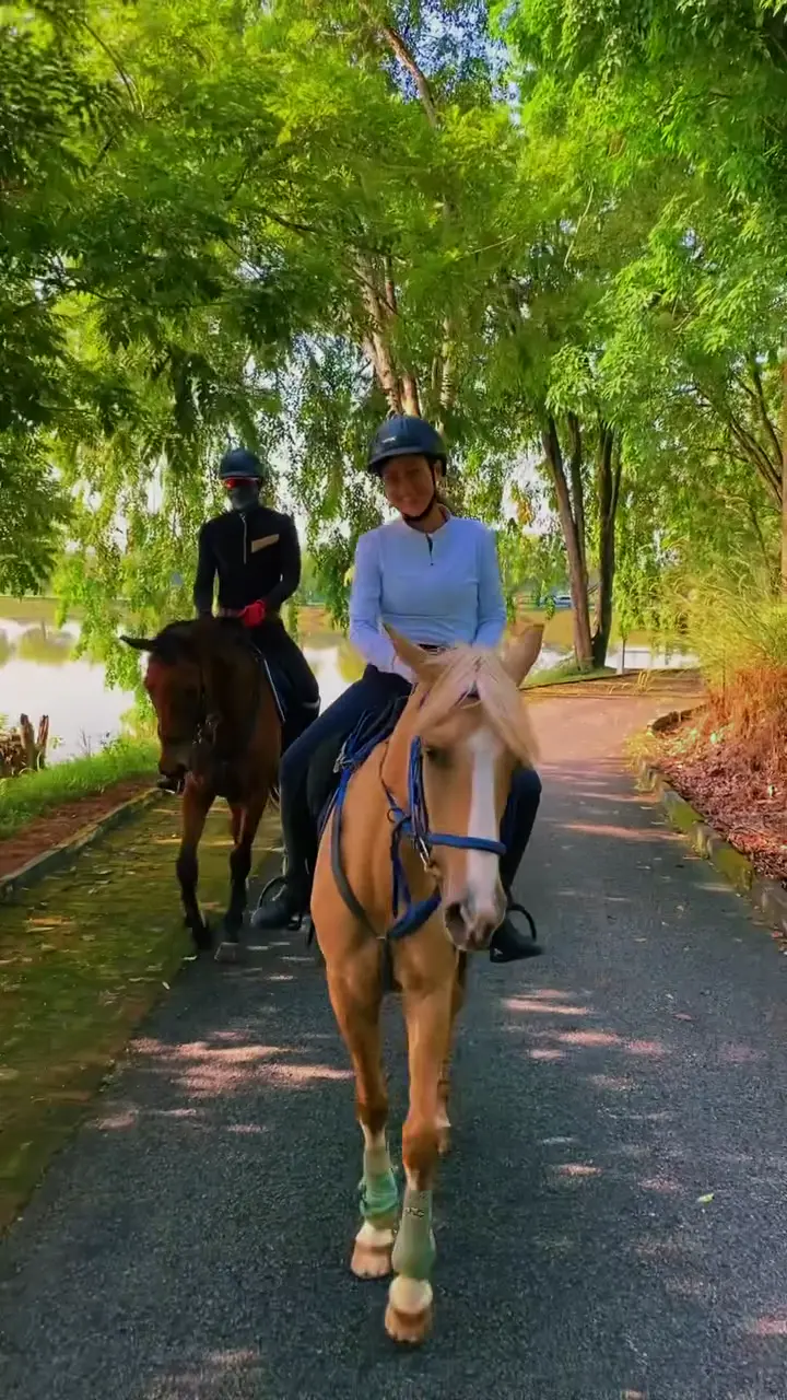 Still from a Pakar Equine trail ride video