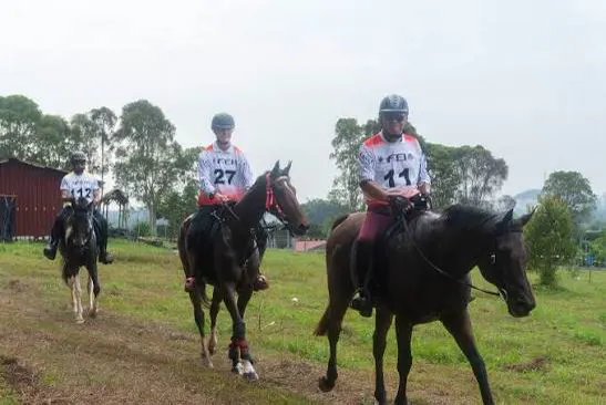 Endurance riders with race numbers training on the field