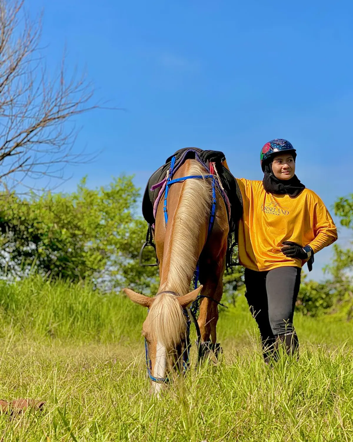 Light palomino horse grazing beside its rider